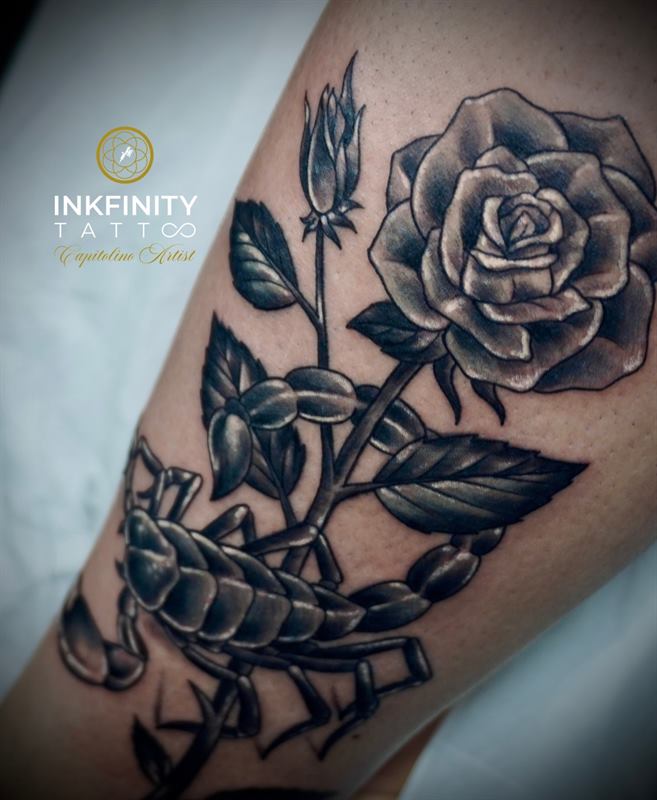 Rosa e scorpione, black & grey su gamba