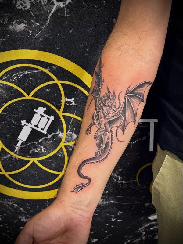 Il sigillo dorato sulla parete dello studio, dietro un avambraccio appena tatuato